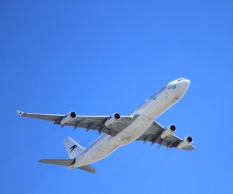 sennik Lot samolotem